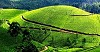 Book Now Tour Package for Ooty Logo